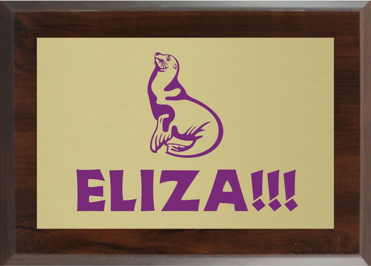 I am an artistic genius, and my medium is custom-designed plaques