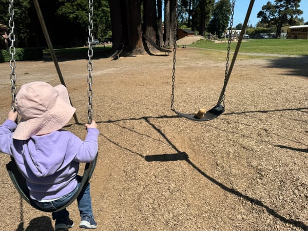 A toddler in a purple jacket and pink hat sits on a swing, facing away from the camera. A teddy bear is on the swing opposite.