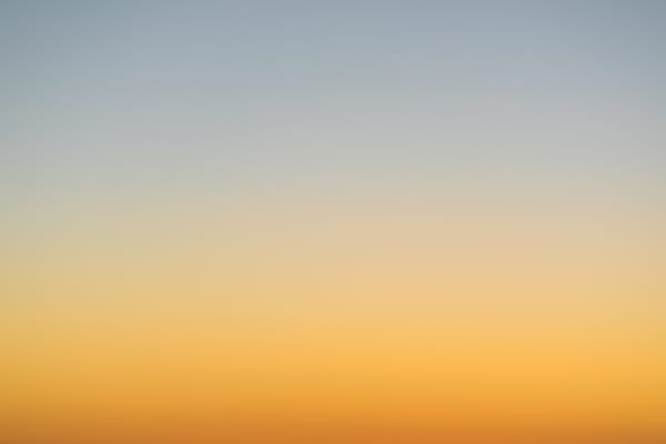 What TV show will have the BEST quarantine episode?