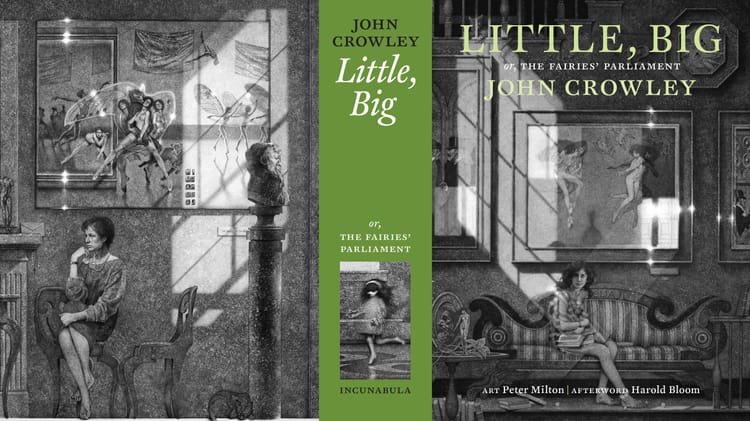 The dust jacket for the 25th anniversary edition of Little, Big, complete with art by Peter MIlton.