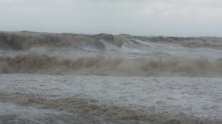 Waves crash in toward the shore. The sky is grey.