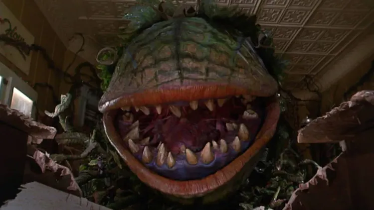 Little Shop of Horrors: a movie musical where every frame is worth studying