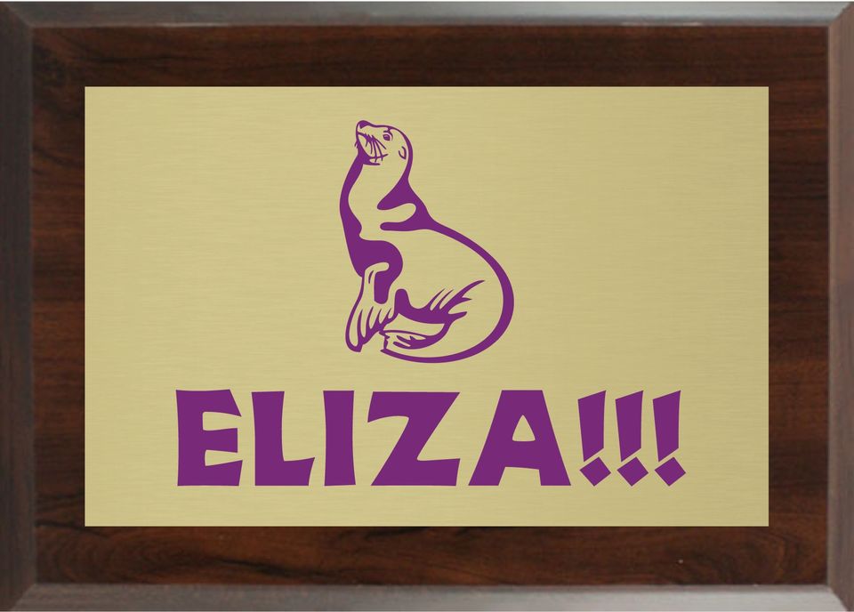 I am an artistic genius, and my medium is custom-designed plaques